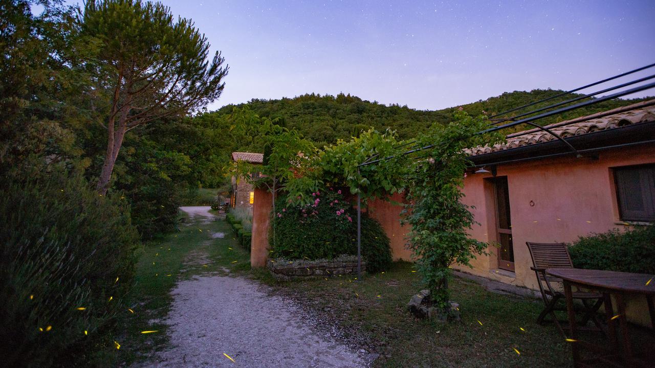Casa Rosa Casa de hóspedes Santa Maria Lignano Exterior foto